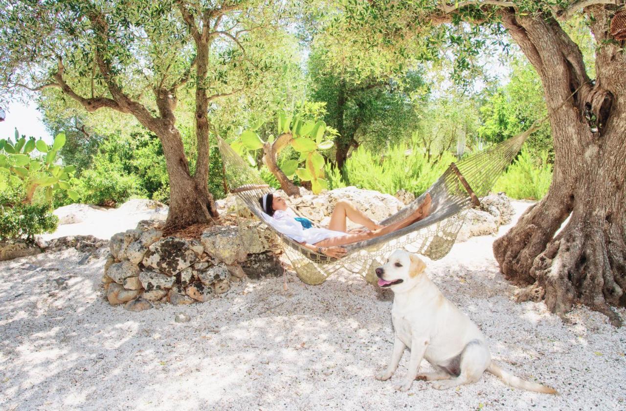 Puntebianche B&B Ceglie Messapica Ngoại thất bức ảnh